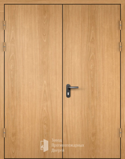 Фото двери «МДФ двупольная глухая №20» в Электроуглям