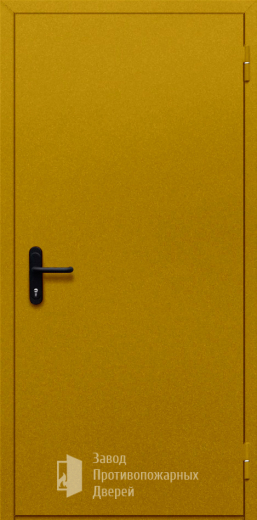 Фото двери «Однопольная глухая №15» в Электроуглям