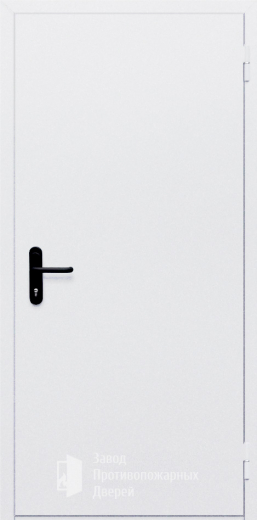 Фото двери «Однопольная глухая №111» в Электроуглям