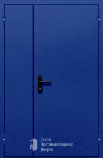 Фото двери «Полуторная глухая (синяя)» в Электроуглям