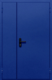 Фото двери «Полуторная глухая (синяя)» в Электроуглям