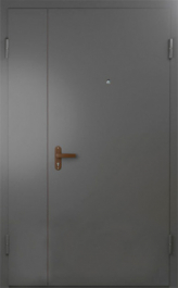 Фото двери «Техническая дверь №6 полуторная» в Электроуглям
