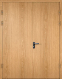 Фото двери «МДФ двупольная глухая №20» в Электроуглям